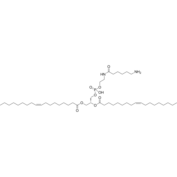 18:1 Caproylamine PE 110796-31-1